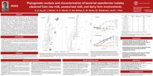 Bacillus - Results Direct