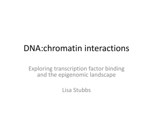 DNA:chromatin interactions