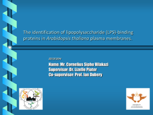 (LPS)-interacting proteins in Arabidopsis thaliana plasma