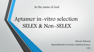 In the name of God Aptamer in-vitro selection SELEX & Non