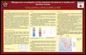 Metagenomic investigation of the intestinal microbiome in healthy