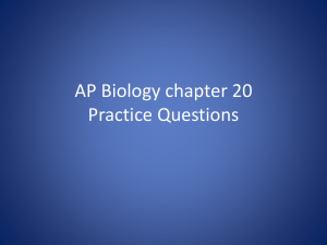 AP Biology chapter 20 Practice Questions