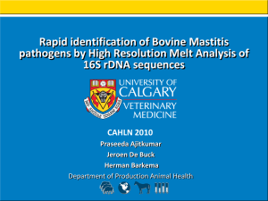 Rapid identification of Bovine Mastitis pathogens - cahln