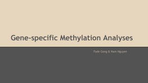 Single-Gene Methylation presentation 2014