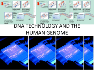 DNA TECHNOLOGY AND THE HUMAN GENOME