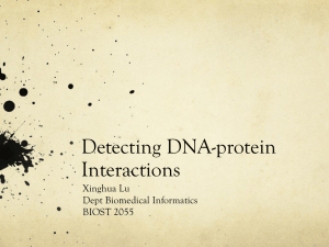 DNA-protein interaction