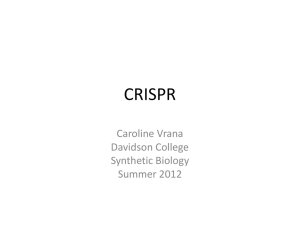 Media:Summer_Work_CRISPR_final