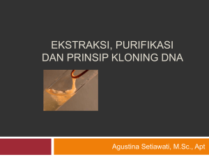IV. Isolasi, purifikasi DNA dan PRINSIP KLONING