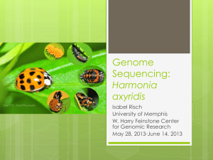 Gene%20Sequencing[2]