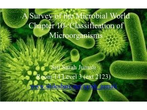 A Survey of the Microbial World Chapter 10