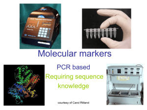 Markers, PCR II