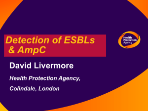 Detection of ESBLs and AmpC beta