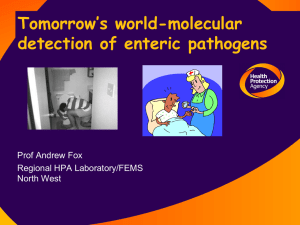 Tomorrow`s world-nucleic acid amplification for enteric microbiology