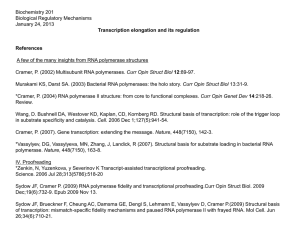 Transcription Speed - UCSF Tetrad Program