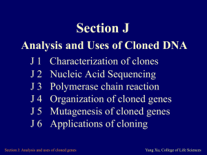 Section J Analysis and Uses of Cloned DNA
