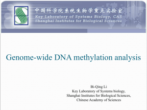 Genome-wide DNA methylation analysis