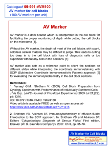 AV Marker for Cell Blocks