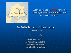 Lycorine, its use to inhibit antiviral activity through the suppression of