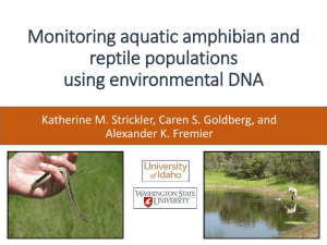 Monitoring Aquatic Amphibian & Reptile Populations Using