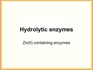 Hydrolytic enzymes
