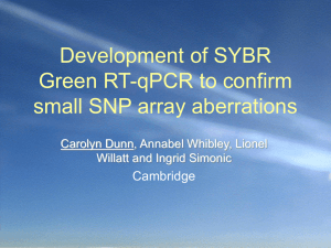 Development of SYBR Green RT-qPCT to confirm small SNP
