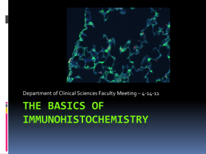 The basics of immunohistochemistry