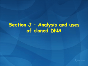 J3 Polymerase of cloned genes