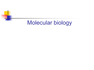 Dr Asmat Salim MM 707 Molecular biology