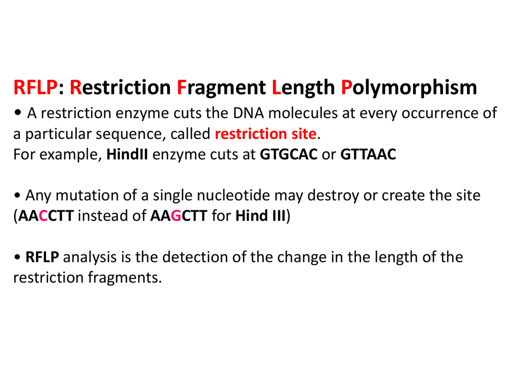 restriction fragment length polymorphism chemistry