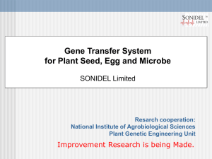 Gene Transfer System for Plant Seed, Egg and Microbe