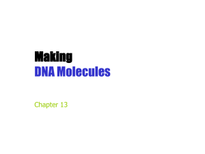 PCR (Polymerase Chain Reaction) - Foothill Technology High School