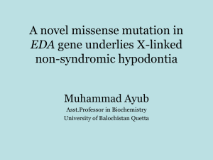 A novel missense mutation in EDA gene underlies X