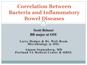 Correlation Between Bacteria and Inflammatory Bowel