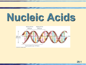 Organic Chemistry