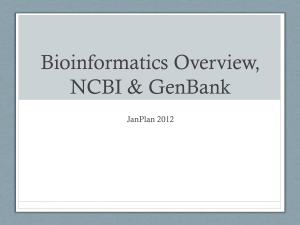 Bioinformatics Overview, NCBI & GenBank