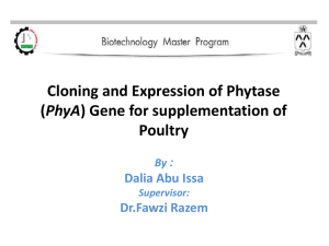 Cloning and Expression of Phytase (PhyA) Gene for