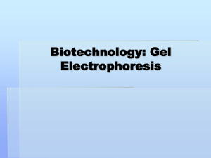 Biotechnology: Gel Electrophoresis Using the new to