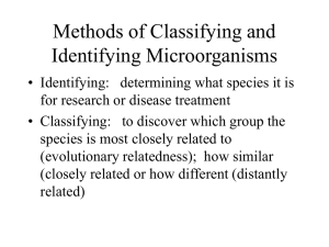 Methods of Classifying and Identifying Microorganisms
