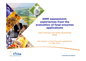 GMM assessment: experiences from the evaluation of food