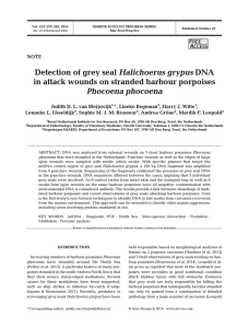 Detection of grey seal Halichoerus grypus DNA in attack wounds on