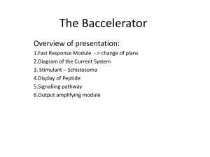 The Baccelerator