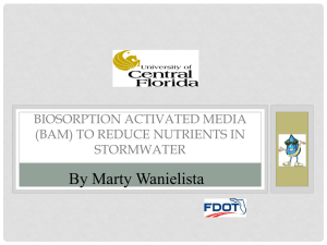 Marty – Storm Water Examples wit BAM and