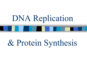 DNA Replication - onlinebiosurgery