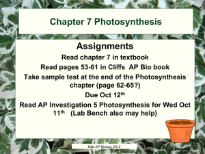 Chapter 7 photosynthesis