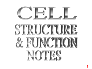 Cell Structure Notes and 13 Key Terms