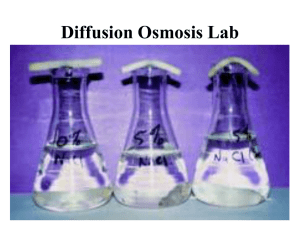 Lab #4: Water Potential & Osmosis