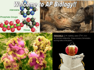 Welcome to AP