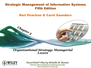 Chapter 3 - Strategic Use of Information Resources