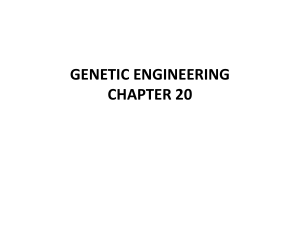 GENETIC ENGINEERING CHAPTER 20