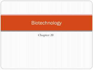 Biotechnology chapter 20 teacher